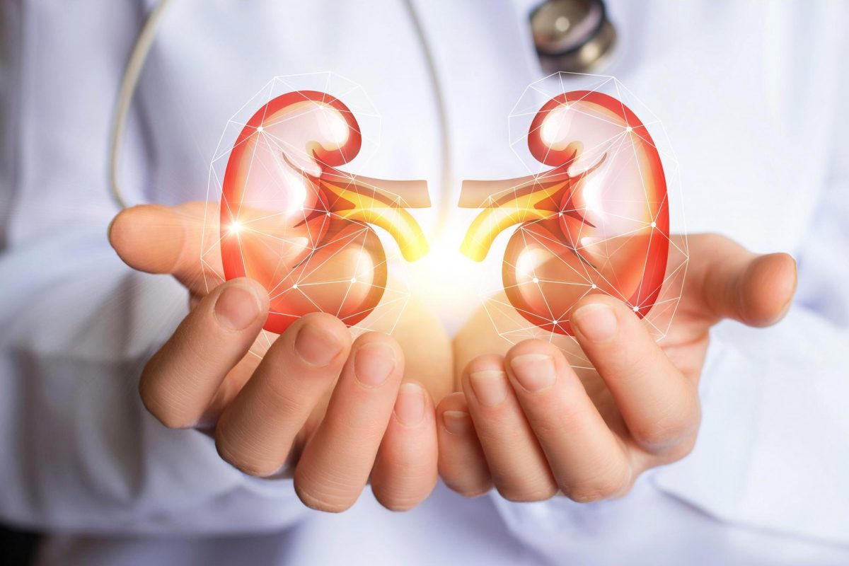 5 Effective ways to keep your kidney healthy