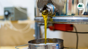 Cold Pressed Oil | The Ultimate Guide 2023