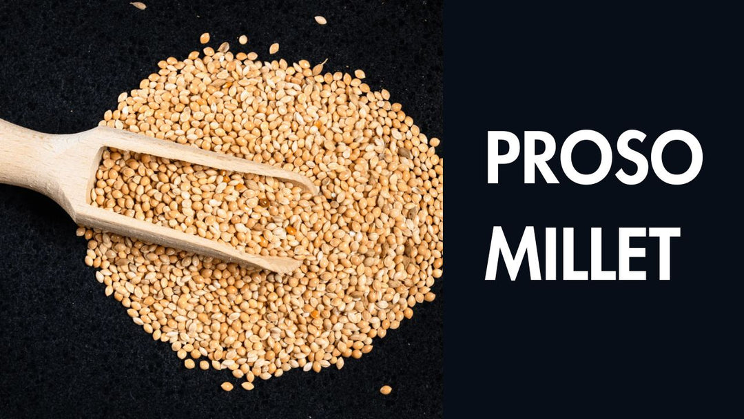 PROSO – Healthyroots