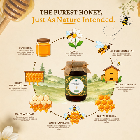 Acacia Raw Honey