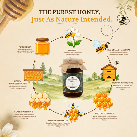 Eucalyptus Raw Honey