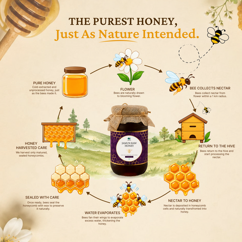 Jamun Raw Honey