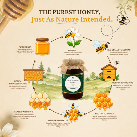Moringa Honey Raw Unprocessed