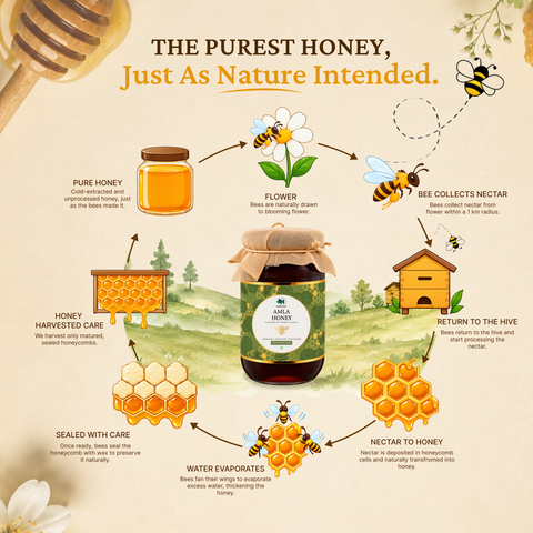 Honey Amla