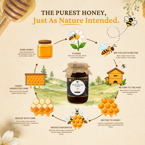 Himalayan Raw Honey| Pure Himalayan Honey