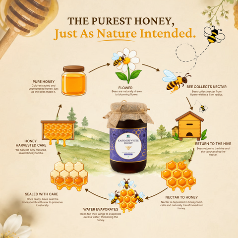 Kashmiri White Honey