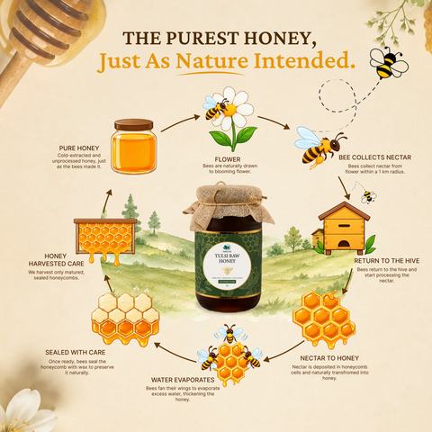 Tulsi Raw Honey