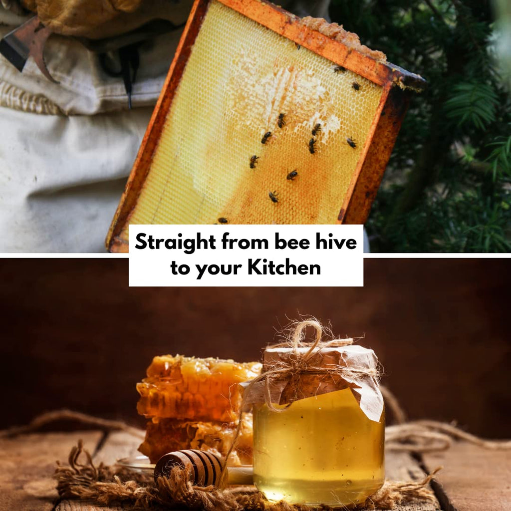 Honey Straight bee hive to your Kitchen