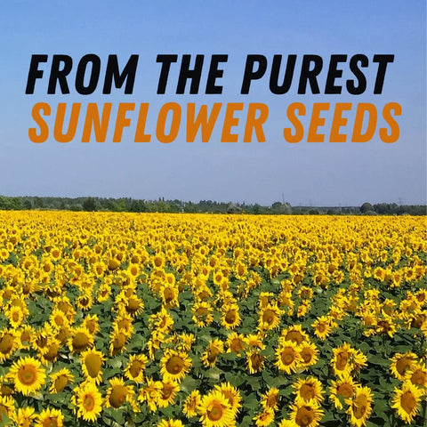 Purest sunflower seeds